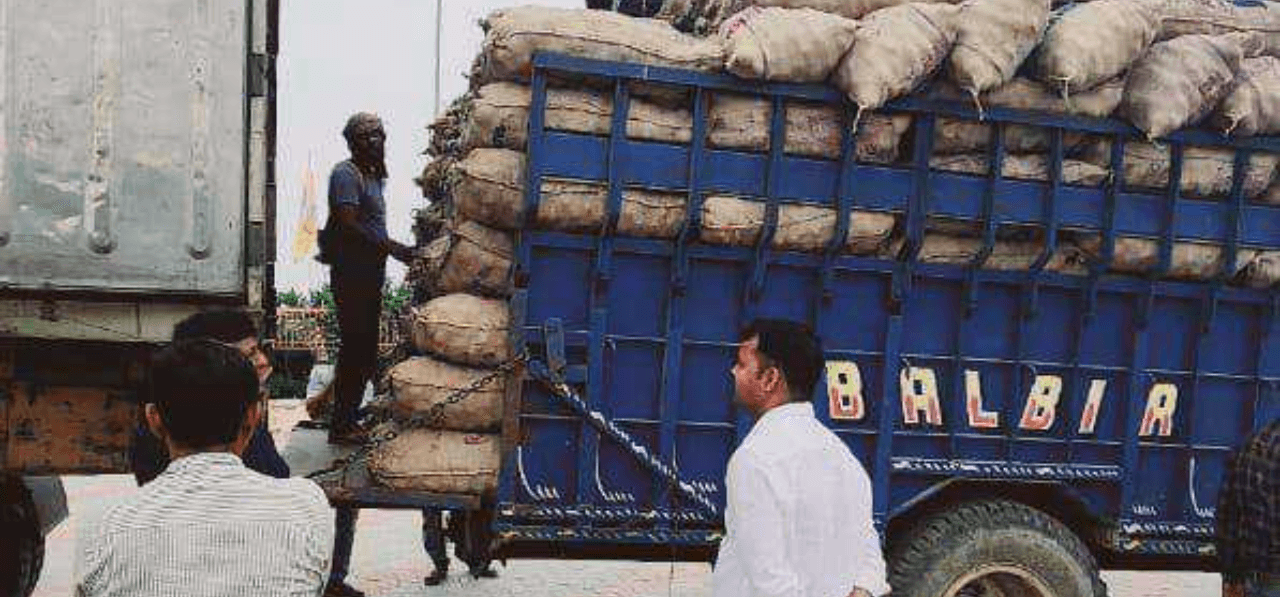 Exportation-of-Potatoes