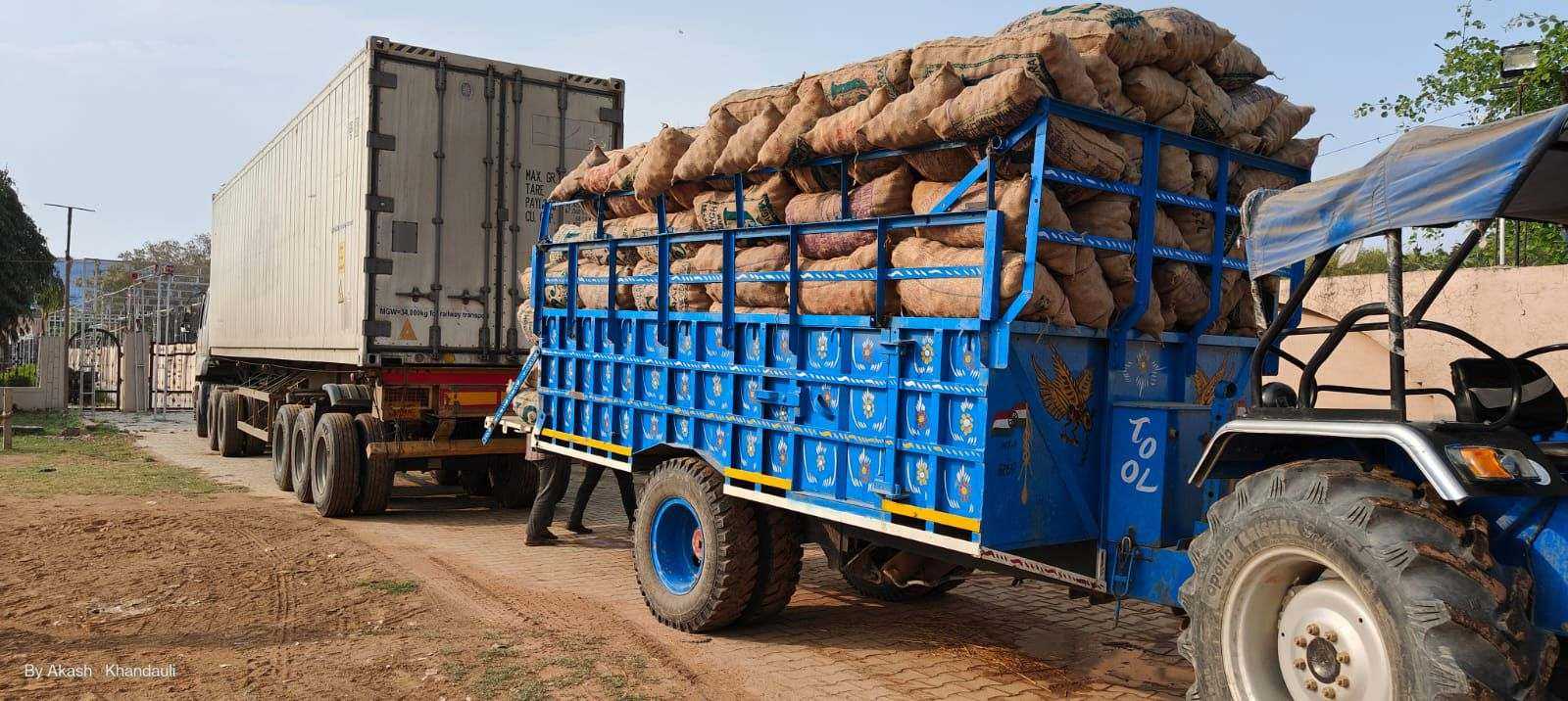Potato-Export