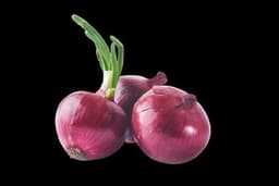 Onion